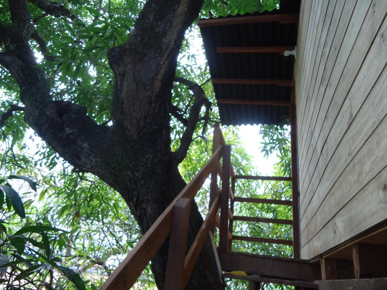 Casa Na Arvore Сальвадор Экстерьер фото
