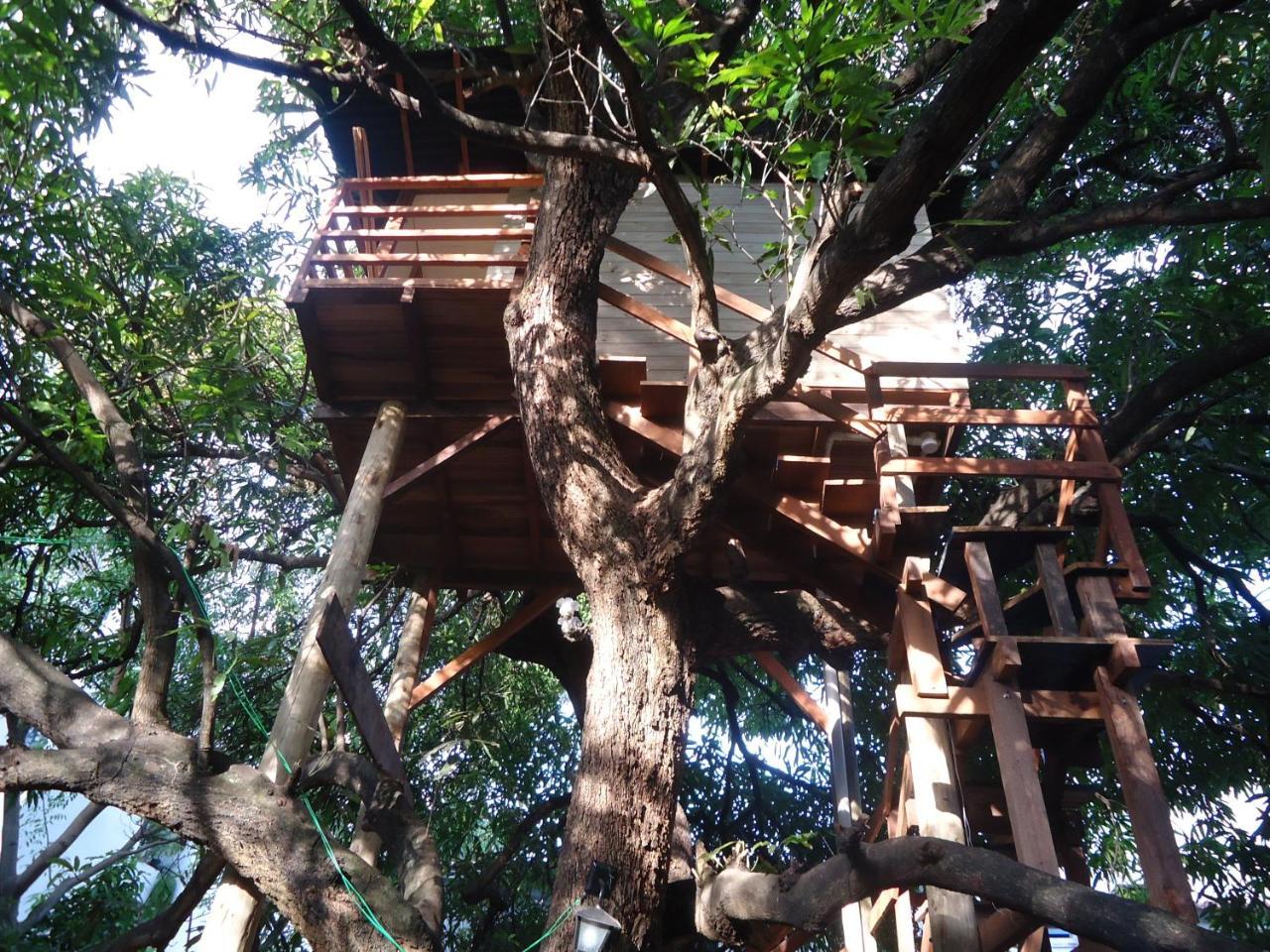 Casa Na Arvore Сальвадор Экстерьер фото
